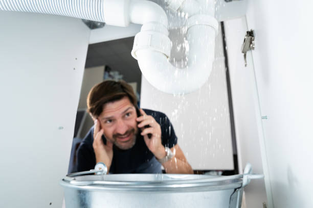 Best Affordable Plumbing Services  in Orange City, IA